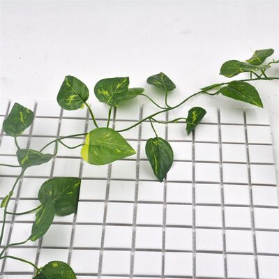 速发1 Pcs Green Flower Vine Sweet Potato Vine Green Leaf Vin