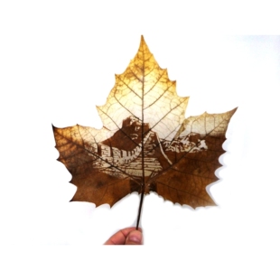 中国旅游外滩长城黄山乐山大佛九华山出国礼品梧桐叶雕刻装饰摆件