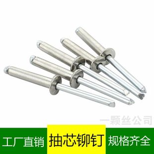 厂家 铆钉拉丁 散装 抽芯铆钉拉铆钉开口型铝半圆头平头封闭式