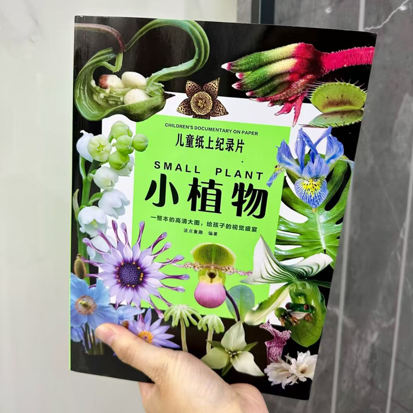 小植物 儿童纸上纪录片正版 18个主题介绍世界上240种花草大树如何发芽开花结果传播的科普绘本 36岁幼儿童自然科学认知启蒙故事书