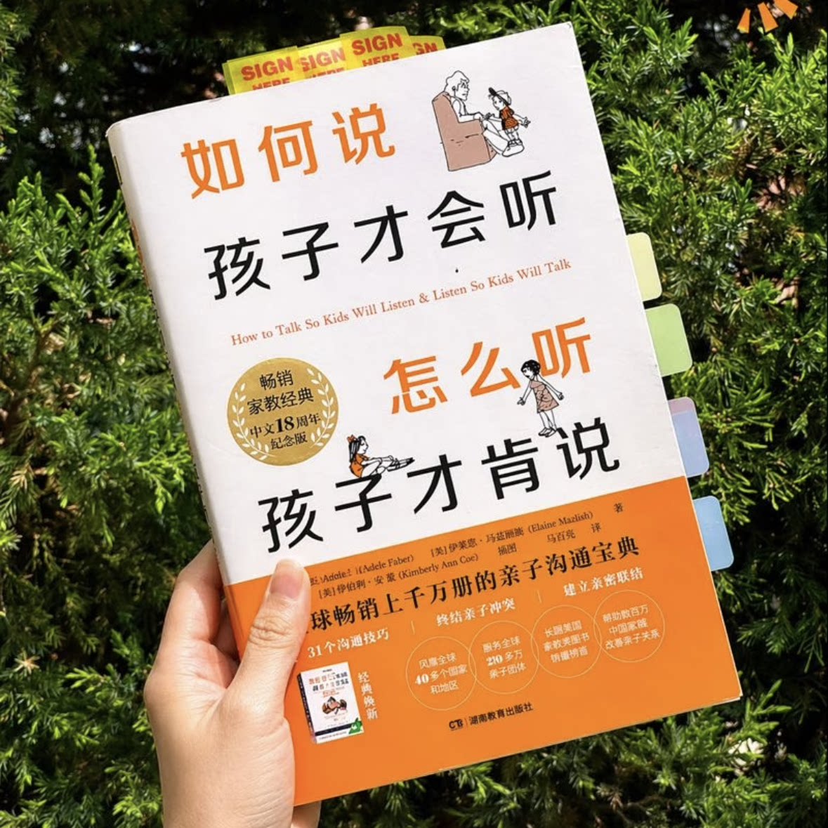 如何说孩子才会听怎么听孩子才肯说 青豆书坊正版带视频课 31个沟通技巧场景练习维护亲子关系 家长父母必备育儿家庭教育指南书籍