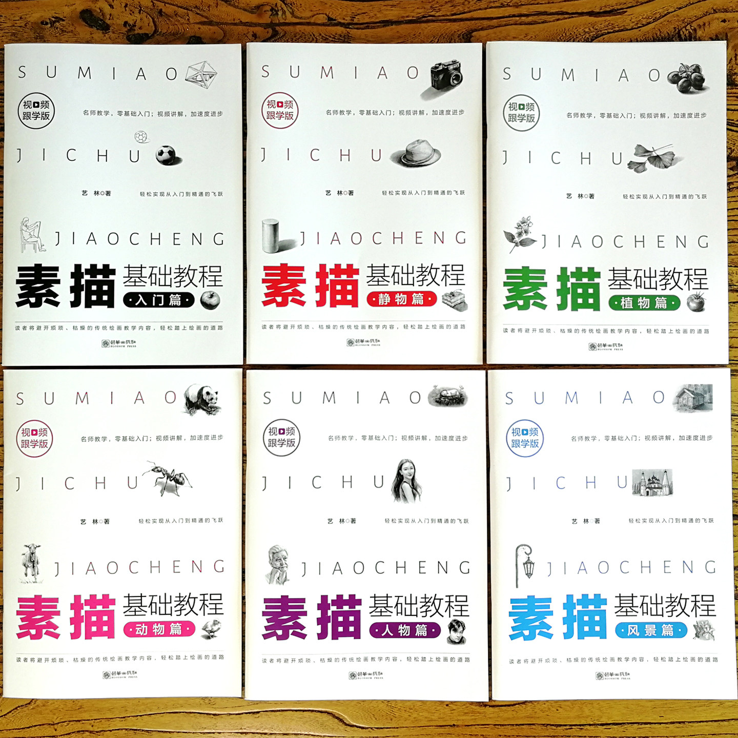 素描书入门教材 基础教程 全6册赠视频 快速掌握植动静物风景人物画法 握笔排线到结构明暗 美术生自学手绘铅笔临摹范本画册绘画书