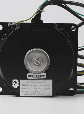 永磁同步电动机1i40TAST-01T2M44P杭州法维莱现代永大门电机马达
