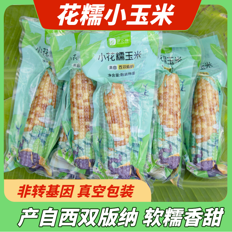 傣小糯云南西双版纳香糯小玉米棒真空开袋即食新鲜低脂粗粮早餐