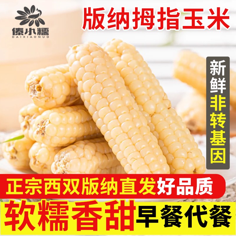 傣小糯云南西双版纳小拇指玉米