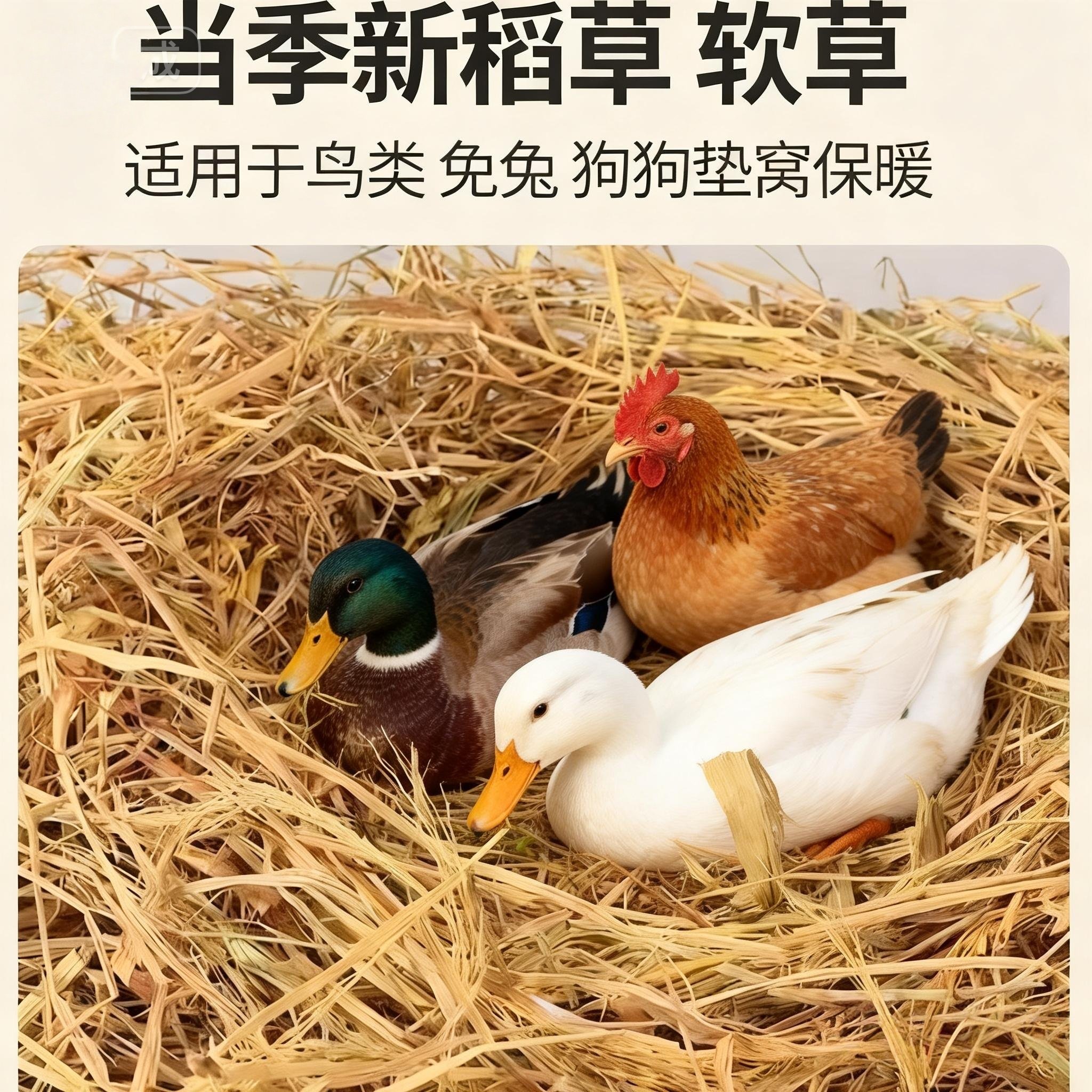 稻草干草垫料兔子过冬草狗窝鸡宠物垫窝天然干稻草秸秆禾杆草保暖