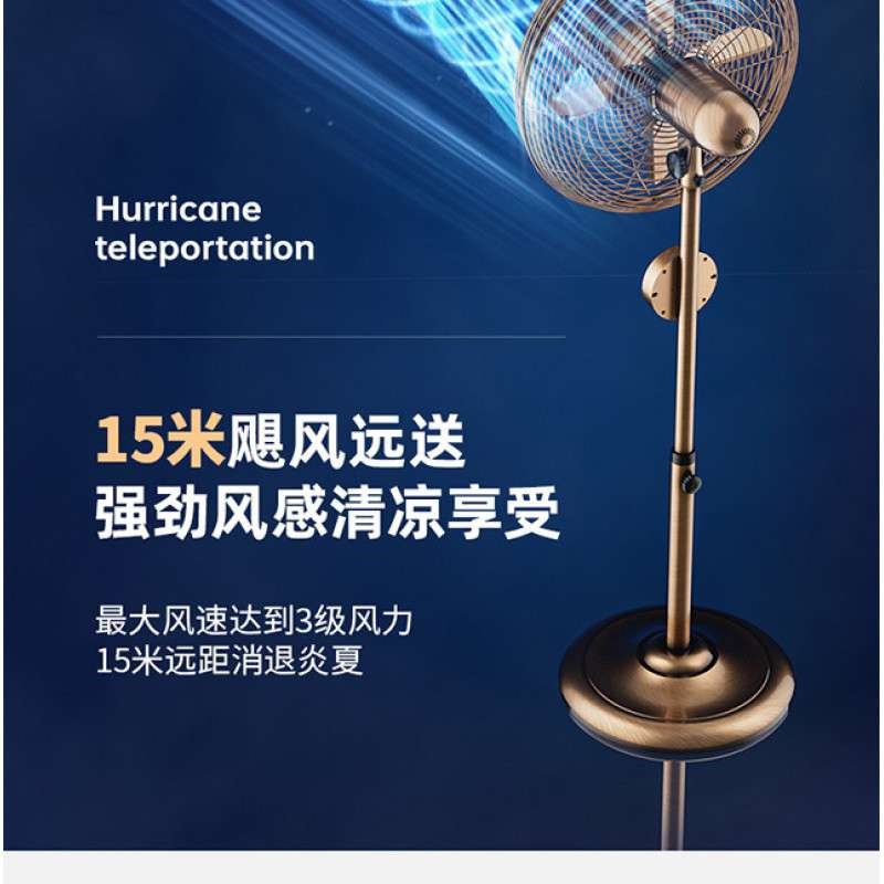 G5J林边金属落地扇家用大风R力立式复古风扇