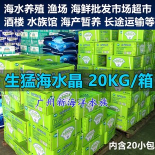 生猛海水晶龙虾鲍鱼盐 海鲜养z殖专用虾蟹鱼贝类海洋水产海鲜酒楼