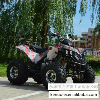 125CC f全地形车 ATV 沙滩车 跑车 越野车 山地车 农夫车