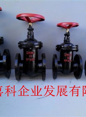 Z45T-1d0上海法兰铸铁闸阀 DN40 50 65 80 100 125 150 DN1000