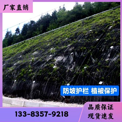 型号全三维植被网植草网三u维土工网垫 用于植草护坡边坡绿化工程