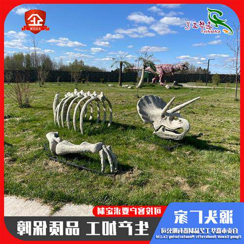 小型恐龙骨架仿真三角龙头骨肋骨化石摆件博物馆展览标本