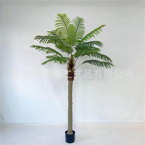 仿真椰子树盆栽假椰树热带植物室内装饰设计造景树仿真棕榈树盆栽,鲜花速递/花卉仿真/绿植园艺,仿真绿植,淘宝优惠券,粉丝福利购,淘宝优惠卷