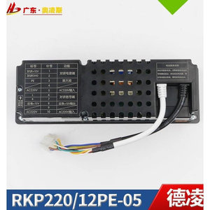 【包换包邮】电梯三合一应急电源RKP220/2PE-05