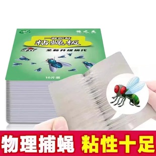 苍蝇贴粘蝇纸强力粘虫板贴片苍蝇药苍蝇拍灭蚊子捕苍蝇神器一扫光