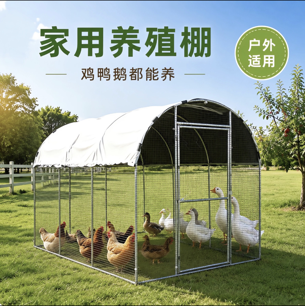 户外养殖棚农村搭建鸡棚防雨鸡窝