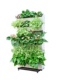 移动植物墙花盆懒人自吸水客厅植物花架多层阳台种菜挂墙壁挂花盆