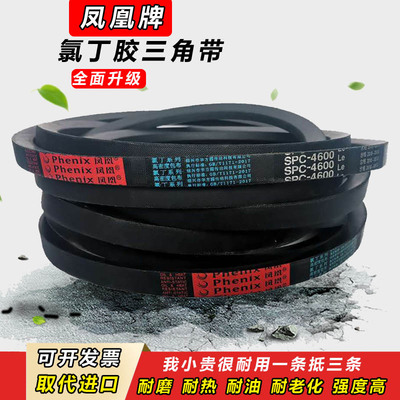 三角带SPC53f00 SPC5350 SPC5400 SPC5450 SPC5500传动皮带SPC555