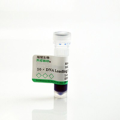 10DNA Loading buffer 101ml REBIO R04006Y  核酸电泳