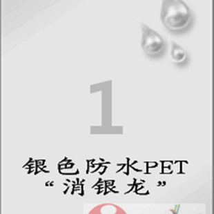100张 爱雷博PET标签CL611SYP A4不干胶标签 银色防水标签纸