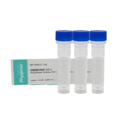 磷酸酶抑制剂 (50)m Phosphatase Inhibitor 5ML 蛋白实验用