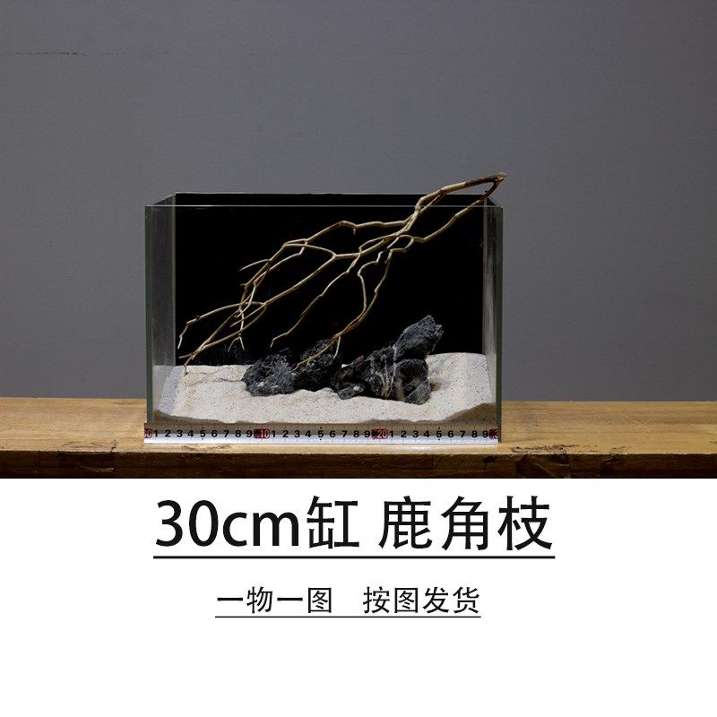 鹿角枝沉木d南美缸造景鹿角枝干树枝小鱼缸布景枯木30缸小树枝条