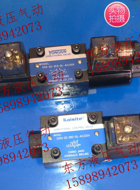 液压阀/DSG-02-3C2/3C3/3C4/3C5/3C6/3C60/3C7/3C8/3C11/X3C12/2B