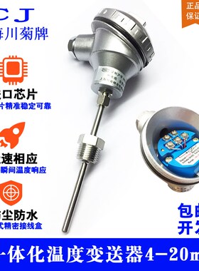 PT100温度感测器WZP铂热电阻监视器WZPB-231一体化温度变送器4-20
