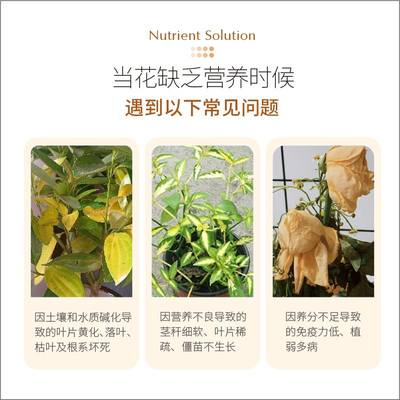 花肥谷开花植物专用浓缩营养液家用养花茶花栀子茉莉花三角梅肥料