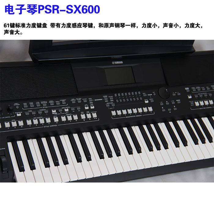 雅马哈电子琴sx600 sx700 sx900成人专业乐队编曲键盘s670升级