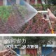 高压洗车a水枪家用水抢伸缩水管软管强F力刷汽车机喷头浇花神器套