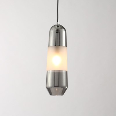 japan pendantj lights  hanging ceiling lamps crystal LED  pe