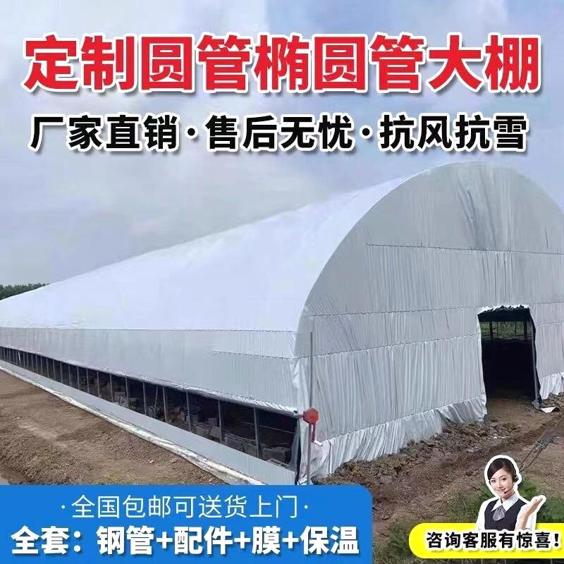 养殖大棚全套大棚骨架家用温室种植棚专业养鸡棚羊棚牛棚养猪大棚