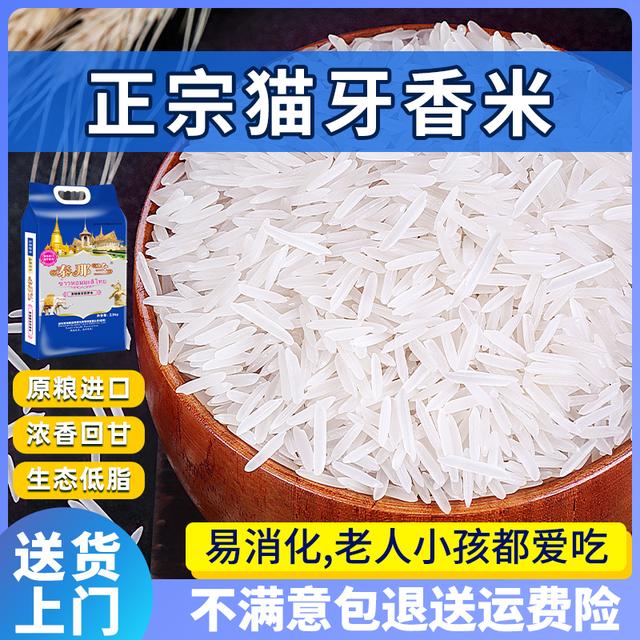 柬埔寨猫牙米原粮进口长粒香米优质产地新鲜现磨真空包装5斤新米