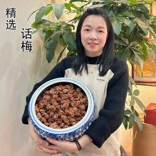 优选正宗话梅揭西特产大颗话梅干九制话梅微咸酸甜梅干果即食零食