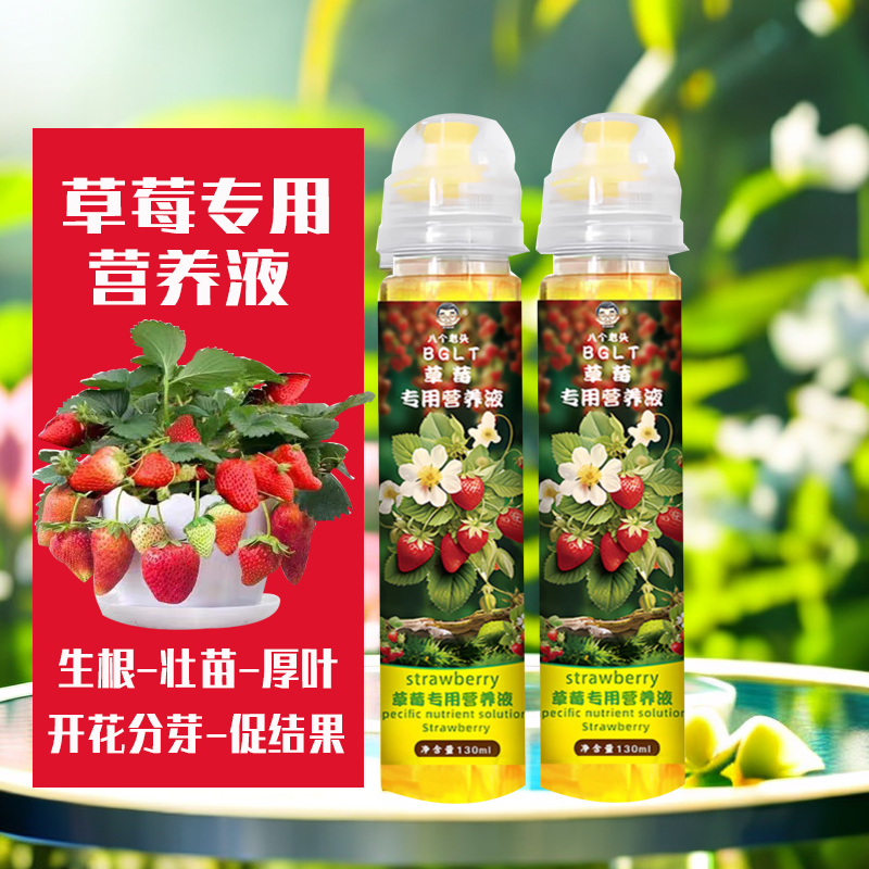 草莓专用营养液草莓专用肥料家用盆栽有机液体肥水溶复合肥料通用