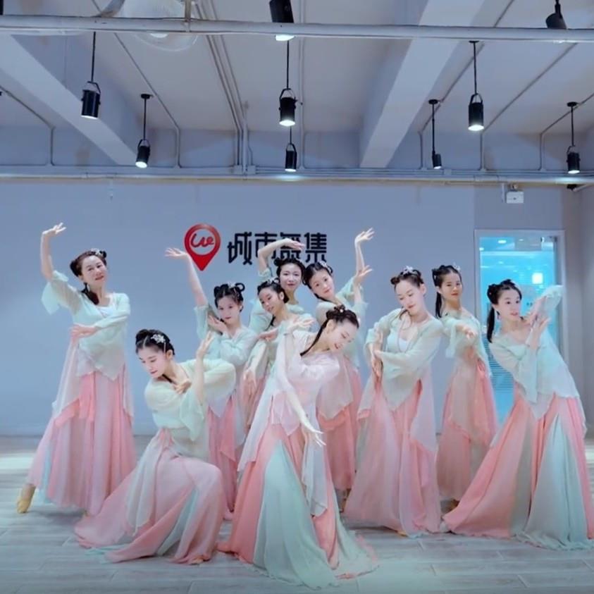 一路生花古典舞蹈表练功中国风演出服表演大摆裙飘逸身韵纱衣独舞