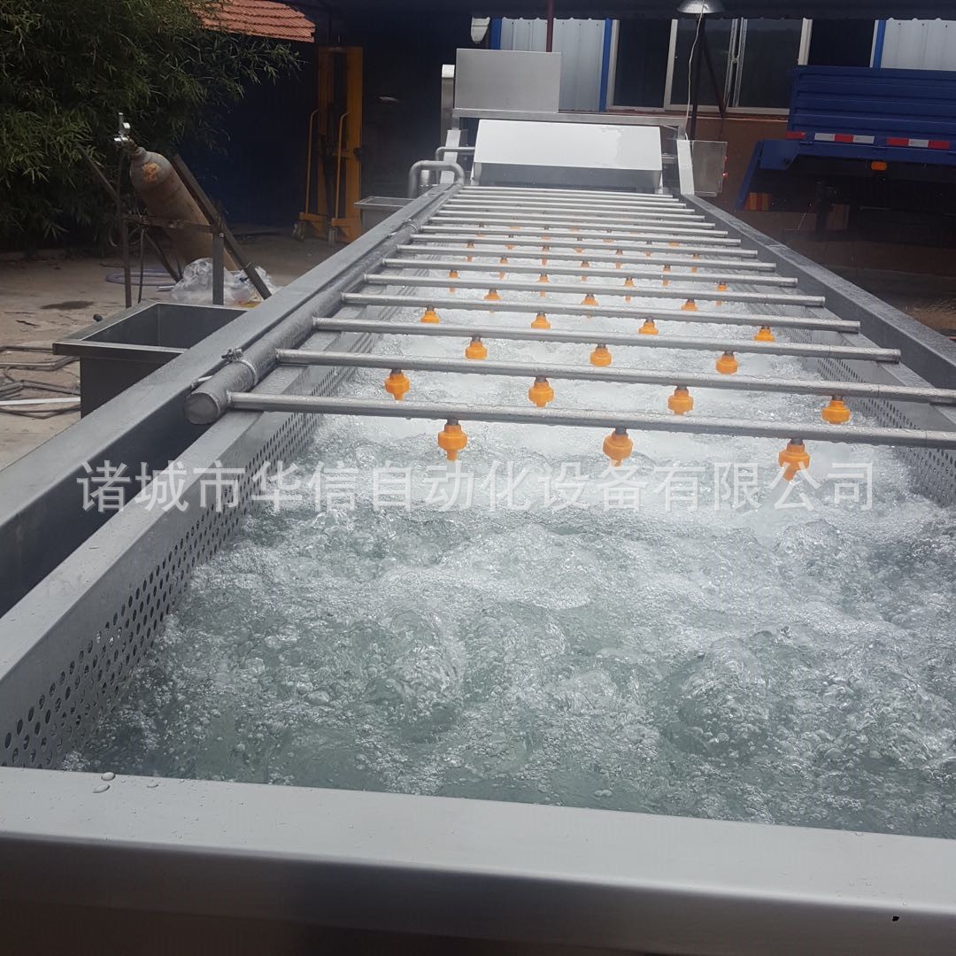 花椰菜清洗机 茄子莲白气泡清洗机茼蒿清洗设备 茎类蔬菜清洗机