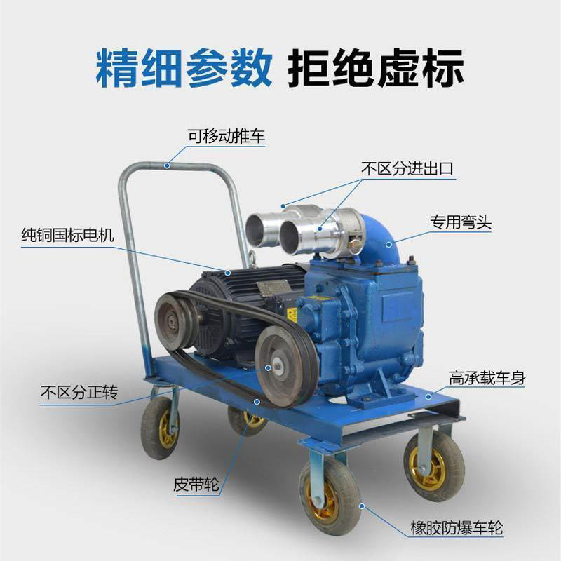 泽洋抽粪泵真空自吸化粪池猪粪