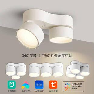 餐厅四头明装筒灯可调角度客厅无主灯双头三头智能三色变光泛光灯