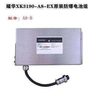 原装耀华XK3190-A8防爆仪表本安防爆电池组A8-B