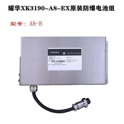 原装耀华XK3190-A8防爆仪表本安防爆电池组A8-B