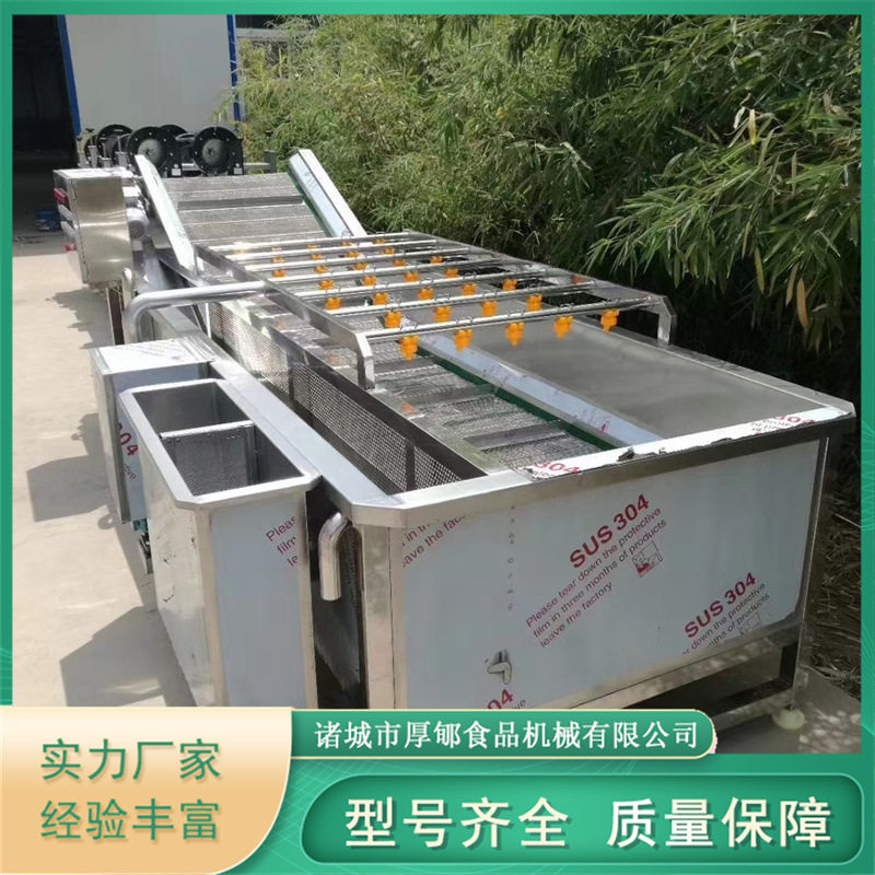 全自动喷淋式气泡清洗机水浴式鼓泡果蔬洗菜机净菜加工清洗设备