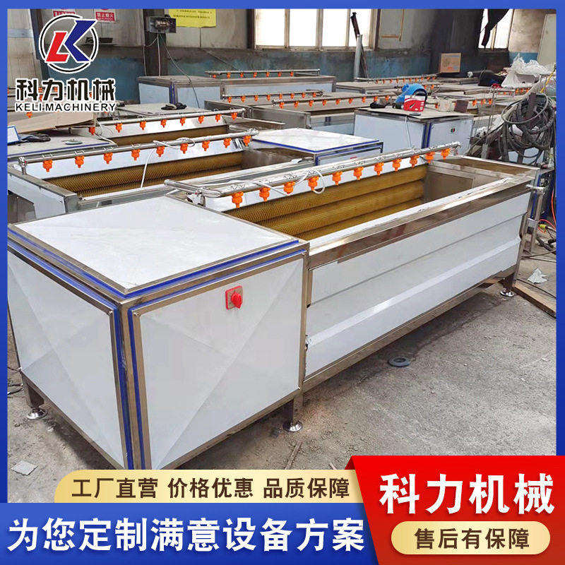 毛辊自动去皮清洗机土豆紫薯