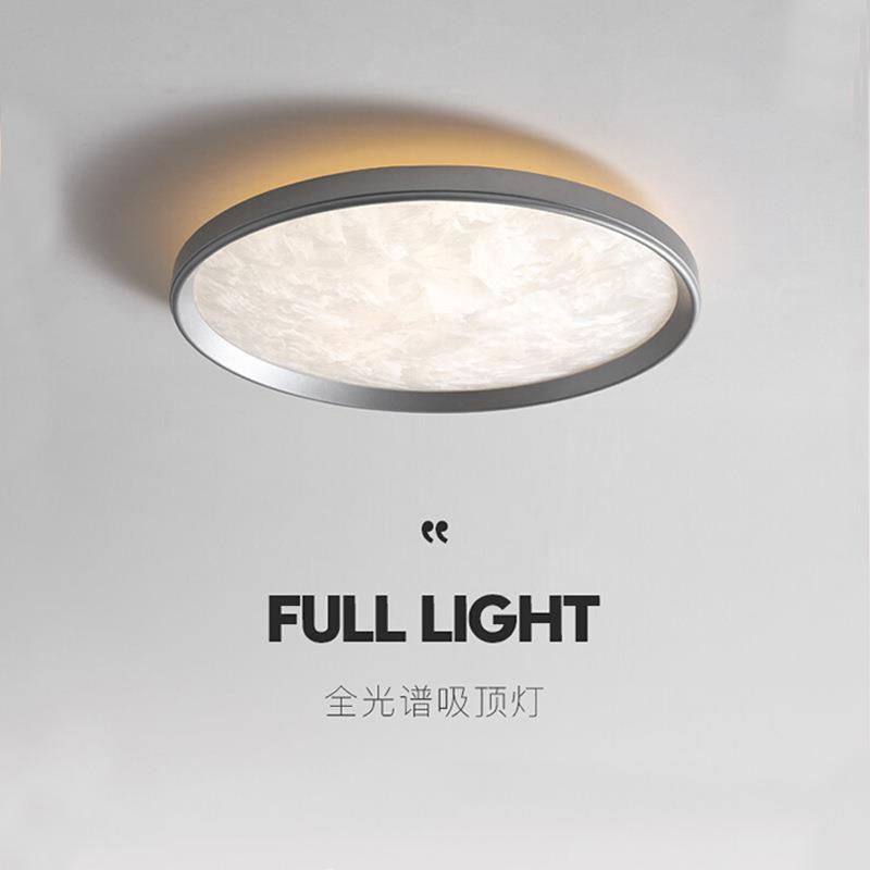 现代简约2024卧室吸顶灯个性艺术极简全光谱护眼房间书房灯