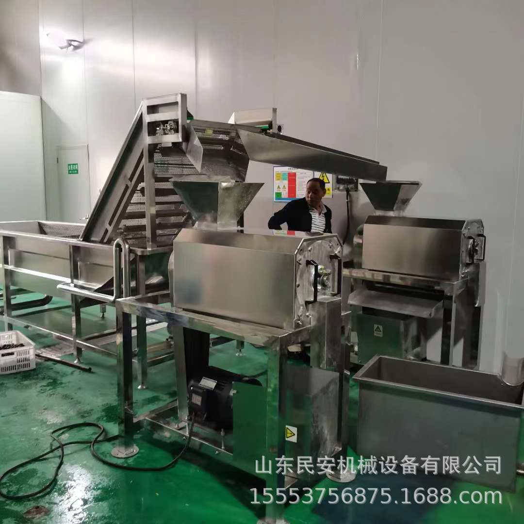 樱桃去核打浆机工业南酸枣去核机商用芒果橙子去皮打浆机