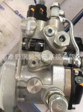喷油泵004420002 1111100-B6L-0000和004412041 1111100AA0Y-0000