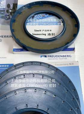 德国Simrit/FREUDENBERG恩福油封CZCFW1BAU5SLX295-170-13/10