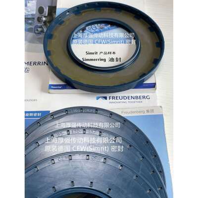 德国Simrit/FREUDENBERG恩福油封CZCFW1BAU5SLX295-170-13/10