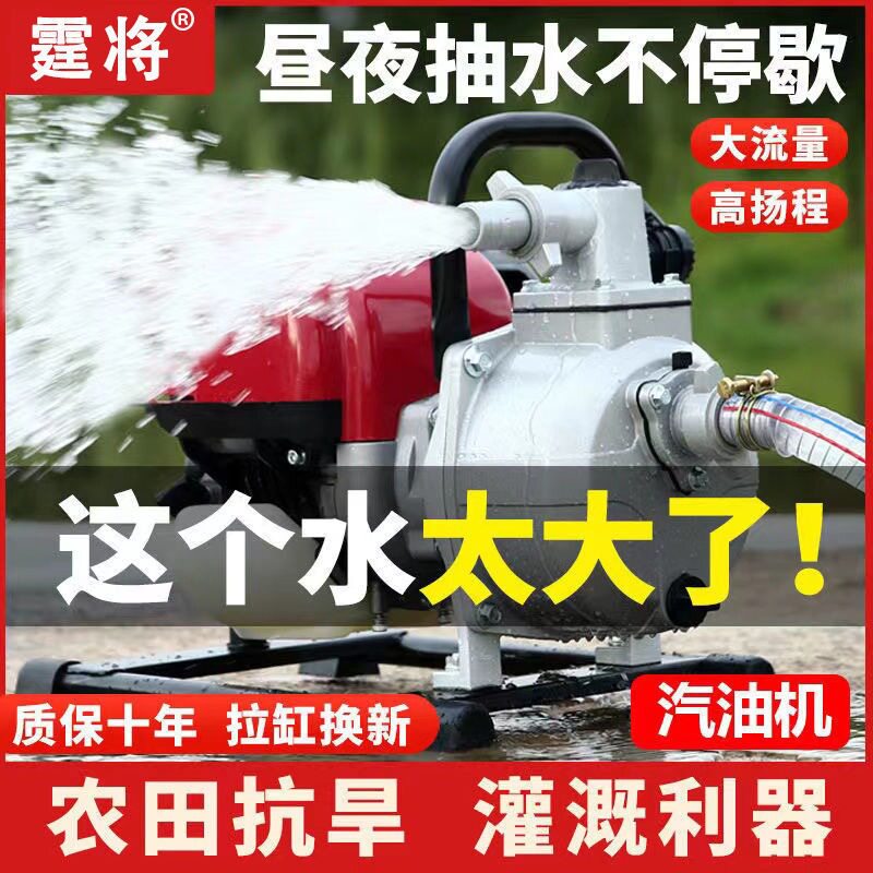 德国进口汽油机高扬程自吸泵